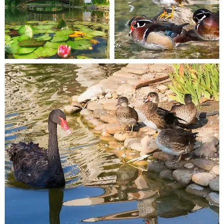 Cascadas Pool View Luxury Sunny Sunny Beach